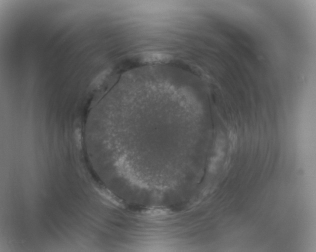 X0000054460716200508121937