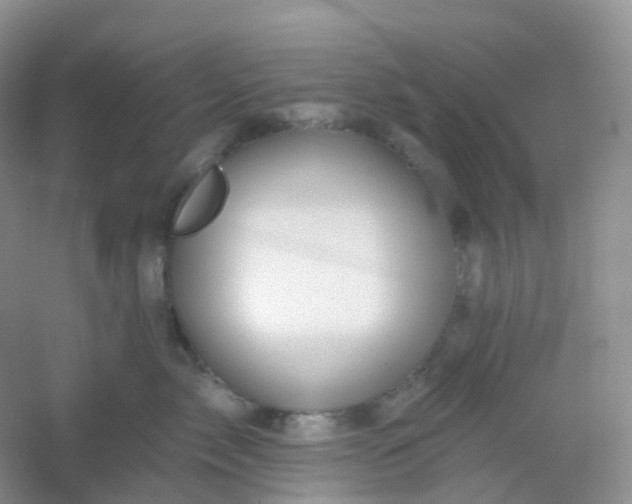 X0000054460717200508121937