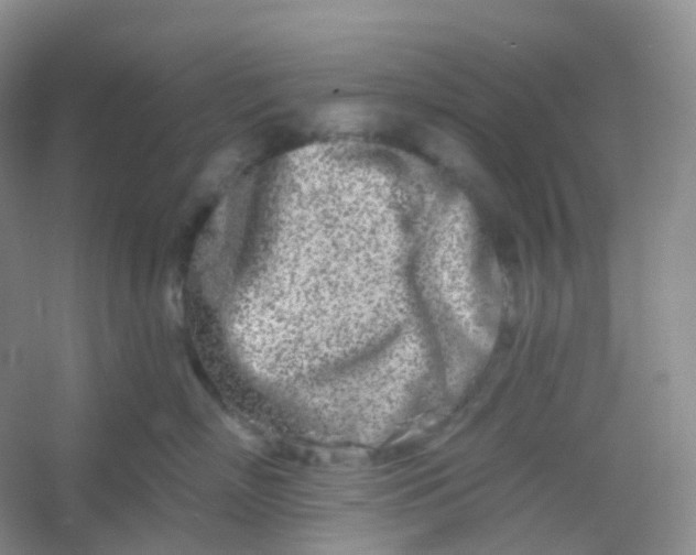 X0000054460718200508121937