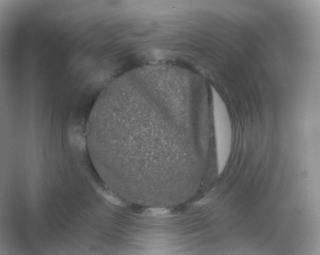 X0000054460719200508121937