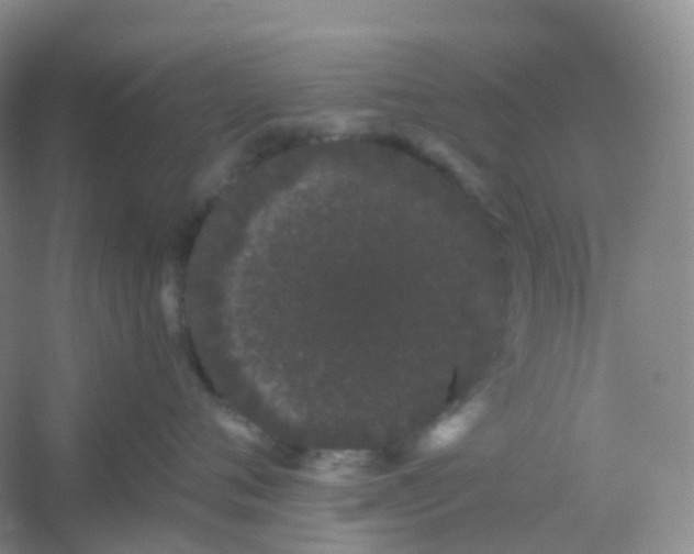 X0000054460720200508121937