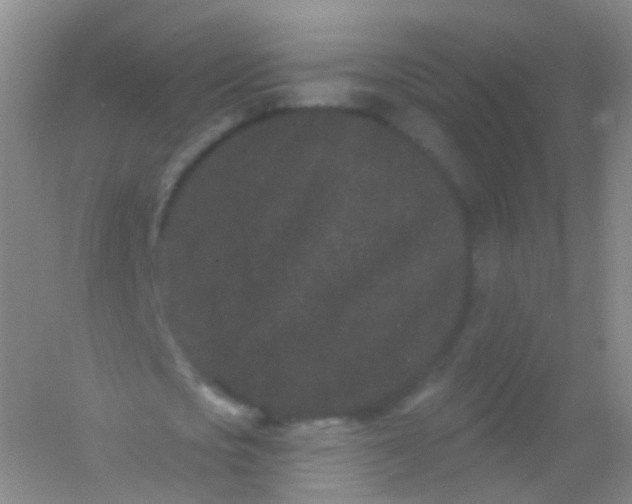 X0000054460721200508121936