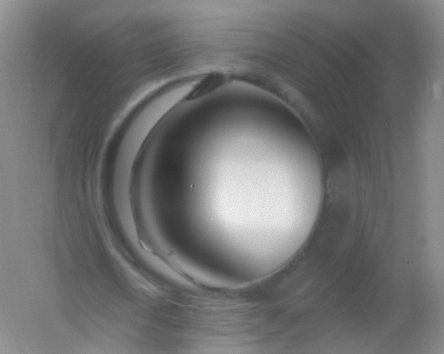 X0000054460722200508121936