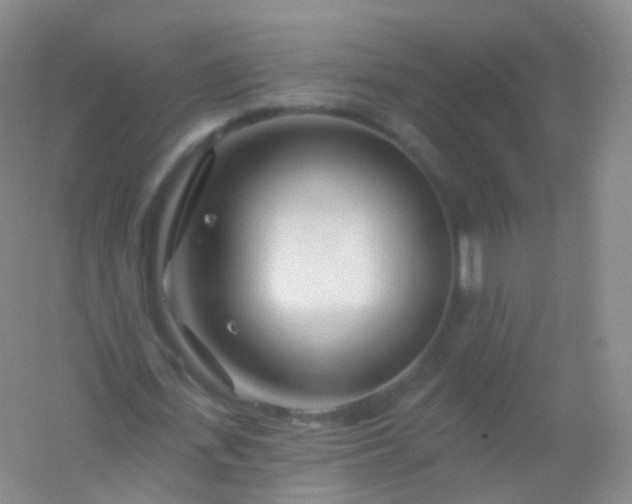 X0000054460723200508121936