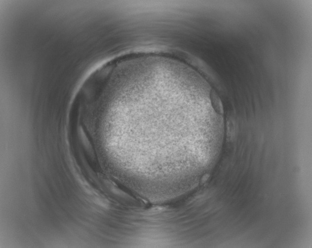 X0000054460724200508121936