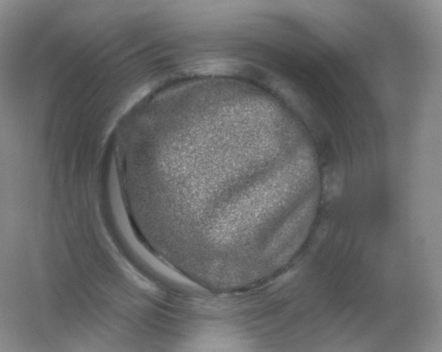 X0000054460725200508121936