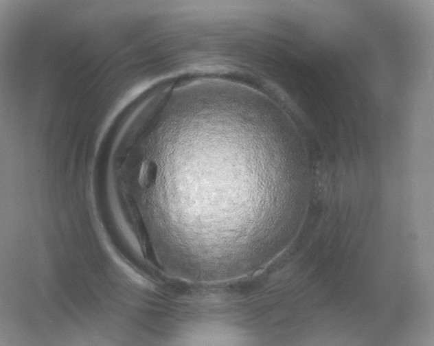 X0000054460726200508121936