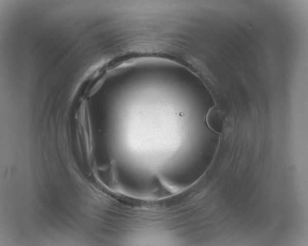 X0000054460727200508121936