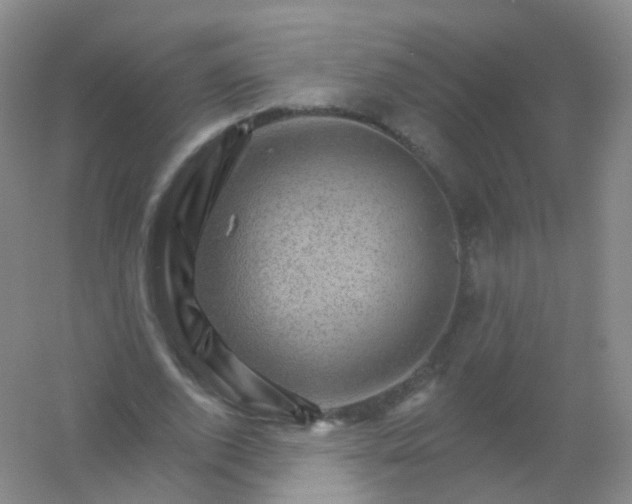 X0000054460728200508121936