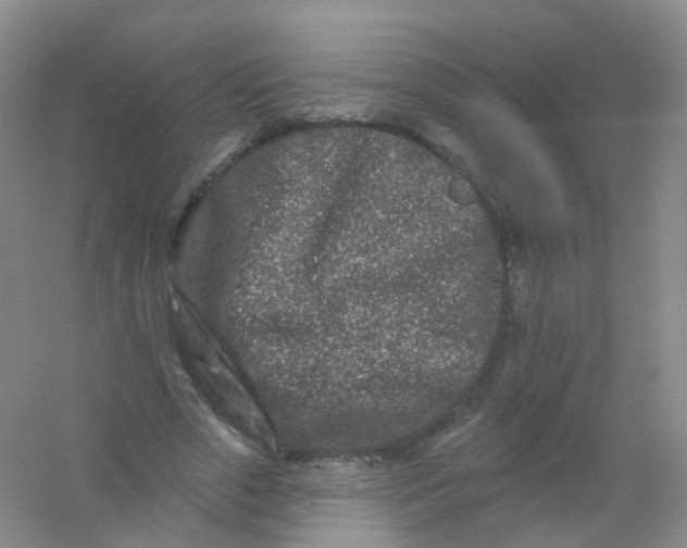 X0000054460729200508121936