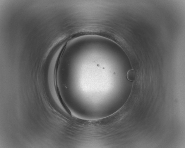 X0000054460731200508121936