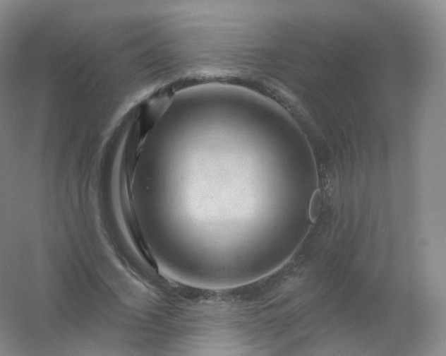 X0000054460732200508121936