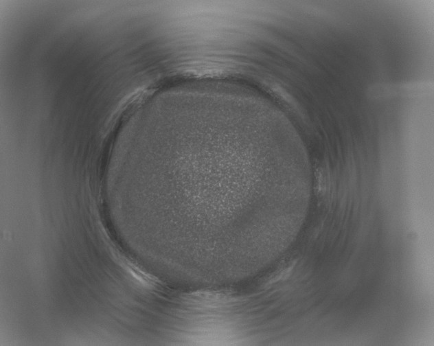 X0000054460733200508121936