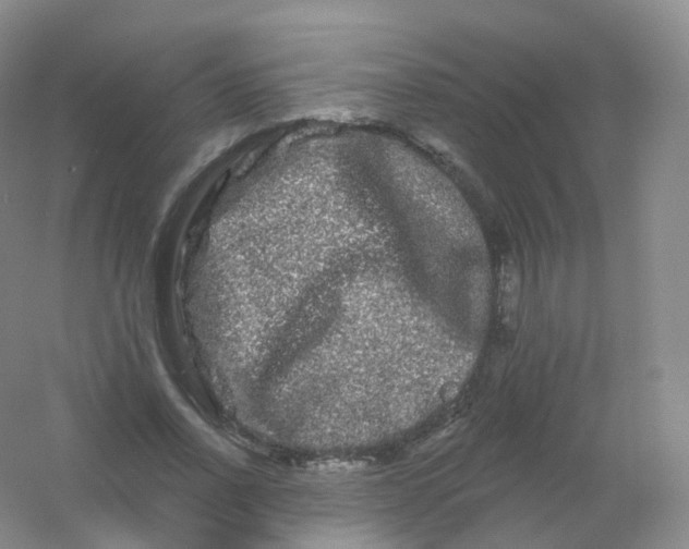 X0000054460734200508121936