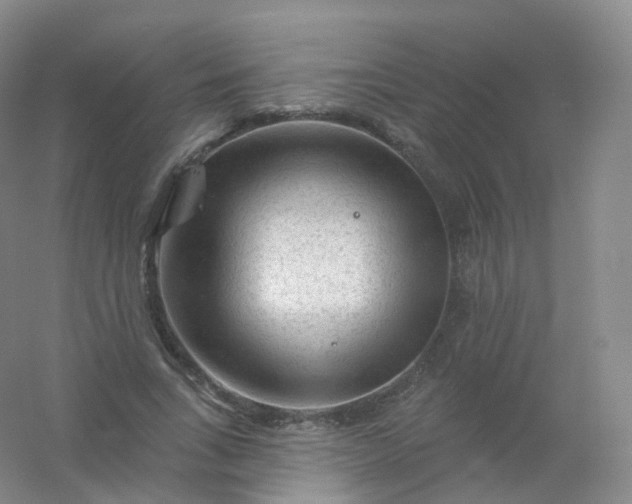 X0000054460735200508121936