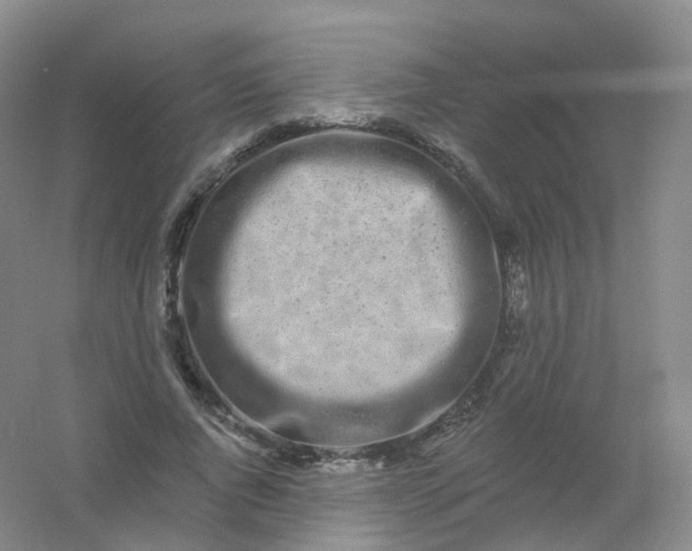 X0000054460736200508121936