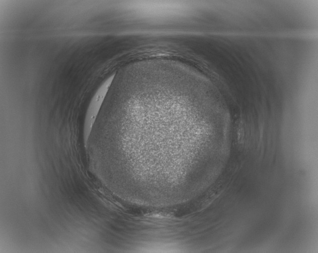 X0000054460737200508121936