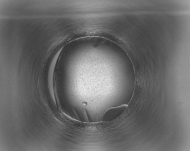 X0000054460740200508121937