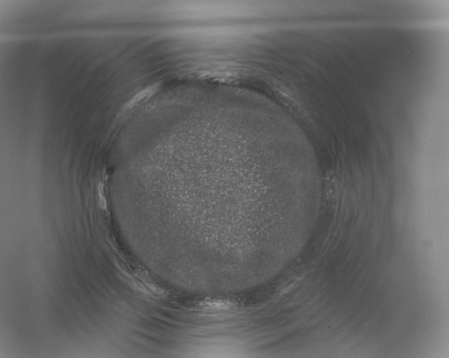 X0000054460741200508121937