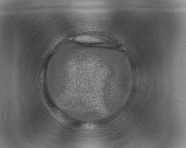 X0000054460742200508121937