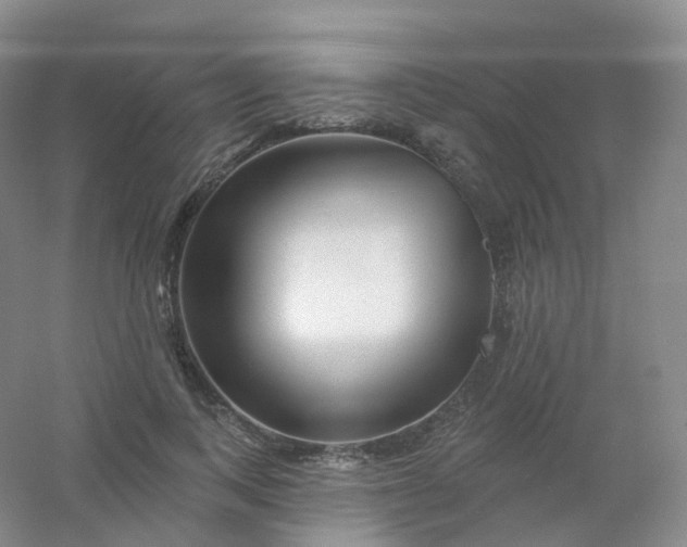 X0000054460743200508121937