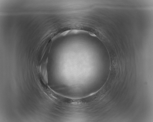 X0000054460744200508121937