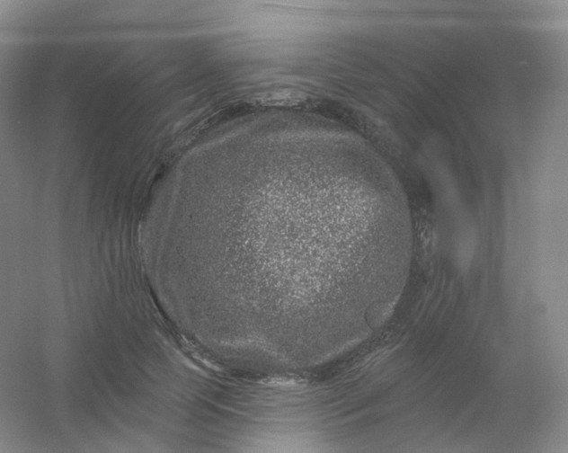 X0000054460745200508121937