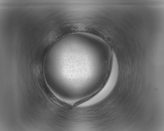 X0000054460747200508121937