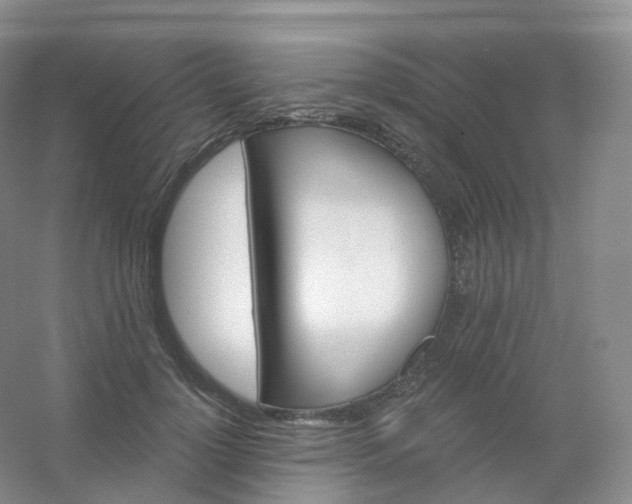 X0000054460748200508121937