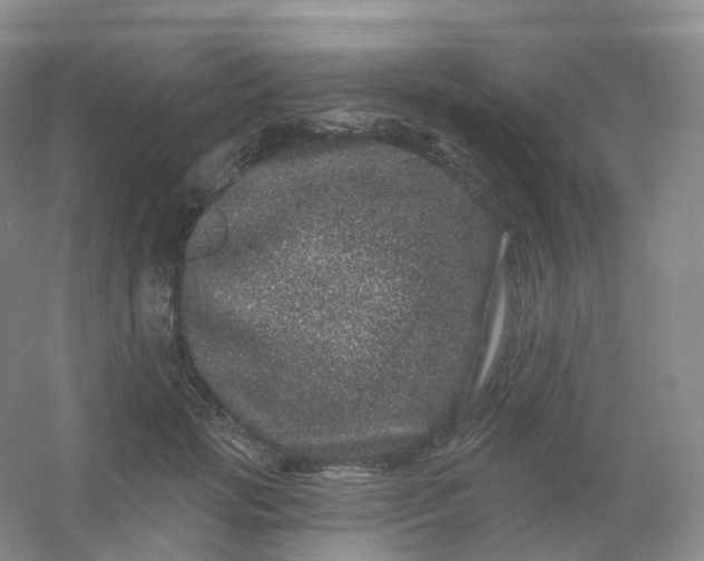 X0000054460749200508121937