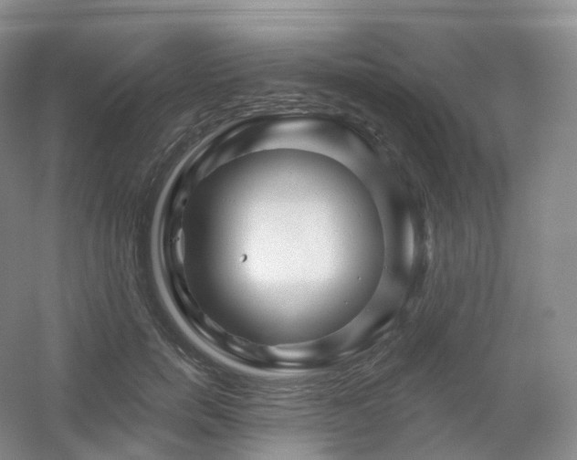 X0000054460750200508121937