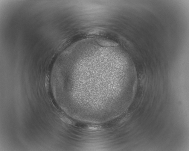 X0000054460753200508121937