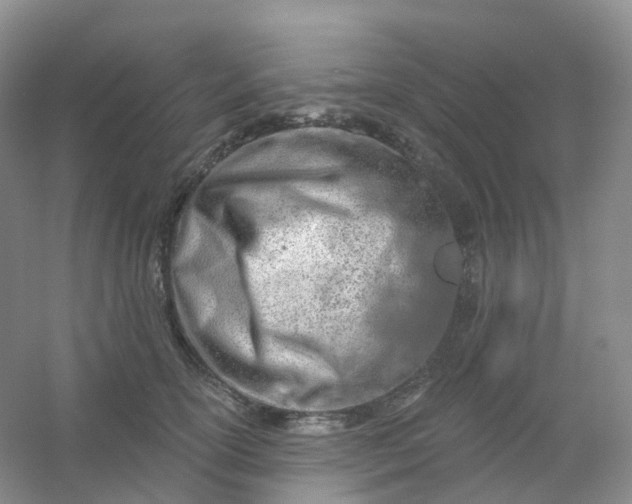 X0000054460754200508121937