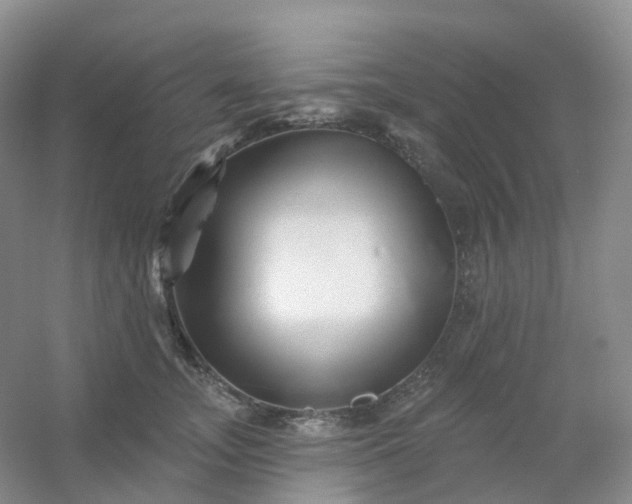 X0000054460755200508121937