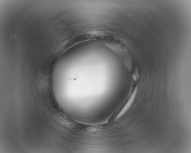 X0000054460756200508121937