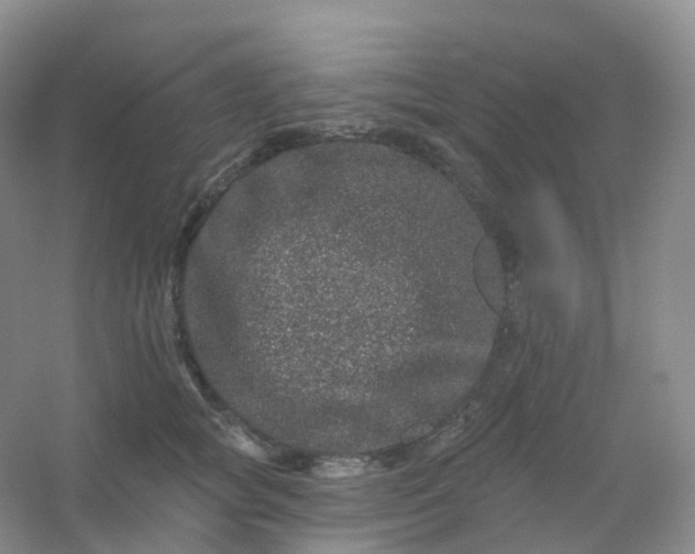 X0000054460757200508121937