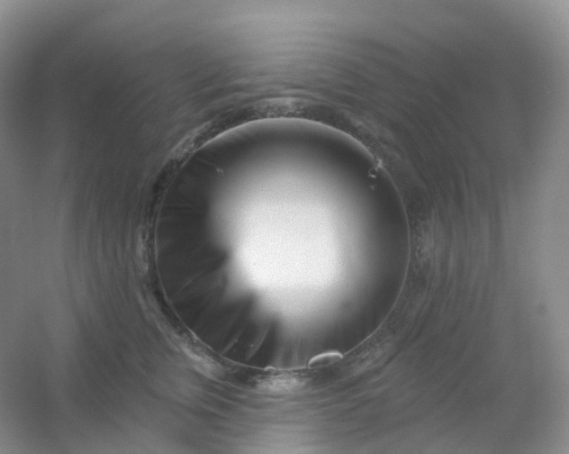 X0000054460759200508121937