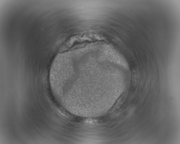 X0000054460760200508121937