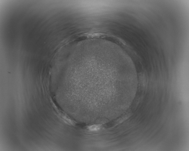 X0000054460761200508121937