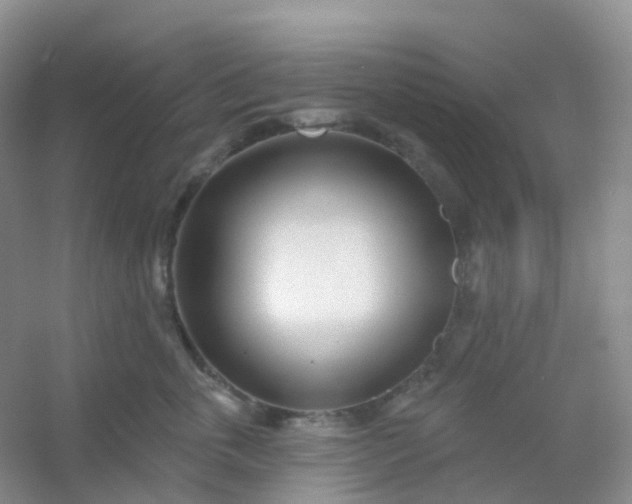 X0000054460763200508121937