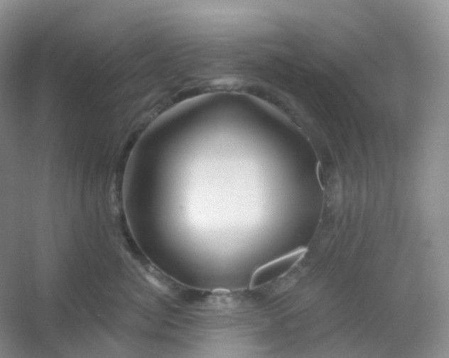 X0000054460764200508121937