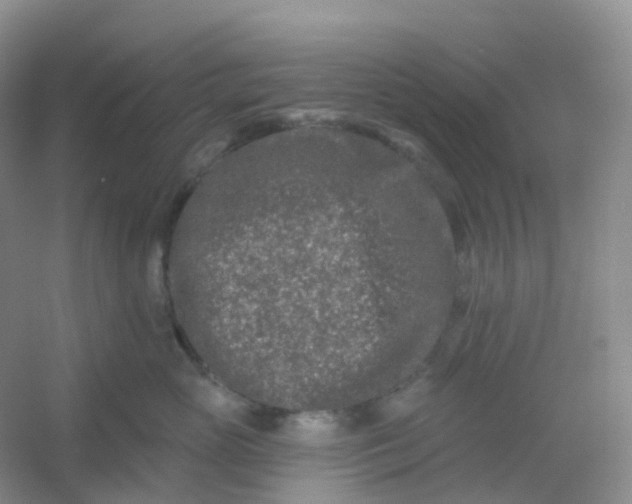 X0000054460765200508121937