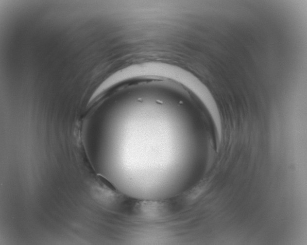 X0000054460766200508121937