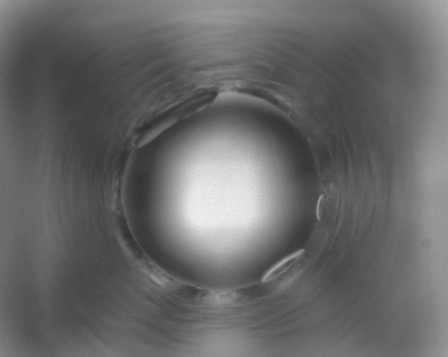 X0000054460767200508121937