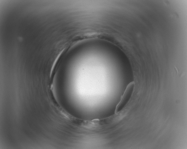 X0000054460768200508121937