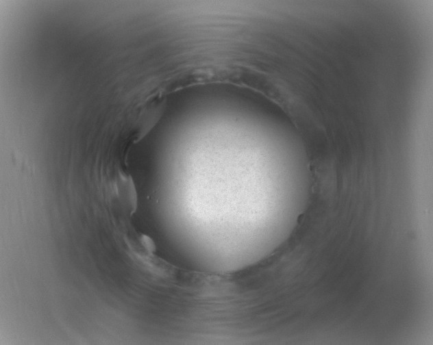 X0000054460770200508121936