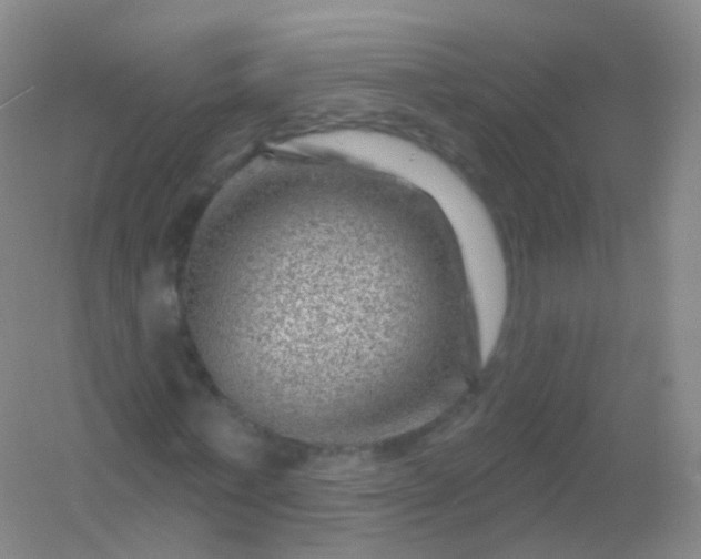 X0000054460771200508121936