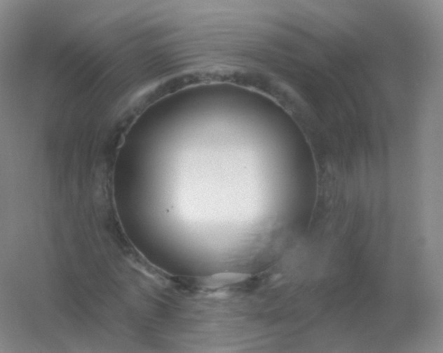 X0000054460773200508121936