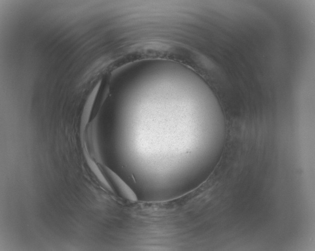 X0000054460774200508121936