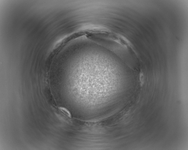 X0000054460775200508121936